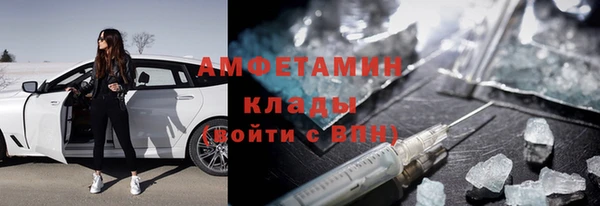 индика Ладушкин