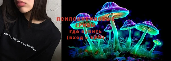 индика Ладушкин