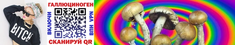 дарк нет наркотические препараты Нерехта Галлюциногенные грибы Cubensis ОМГ ОМГ ONION